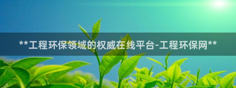 彩名堂怎么选稳定计划产品：**工程环