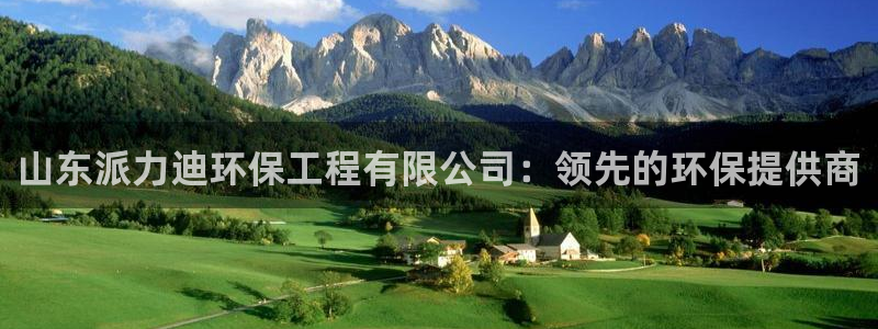 彩名堂免费计划亮点：山东派力迪环保工