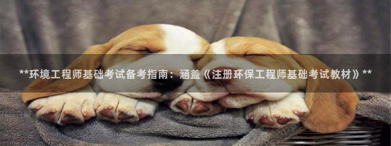 彩名堂预测软件：**环境工程师基础考