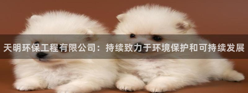 彩名堂app官网：天明环保工程有限公