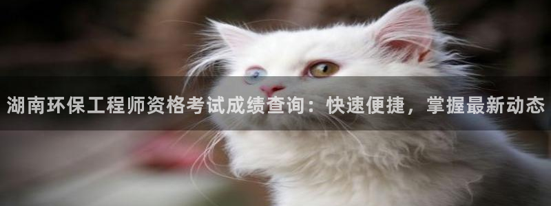 彩名堂怎么选稳定计划：湖南环保工程师资格考试成绩查询：快速便捷，掌握最新动态