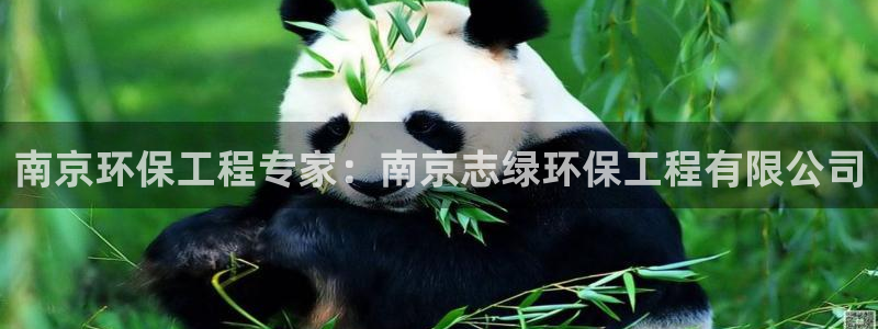 彩名堂客户端加拿大：南京环保工程专家