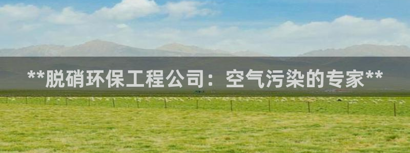 彩名堂5.0：**脱硝环保工程公司：