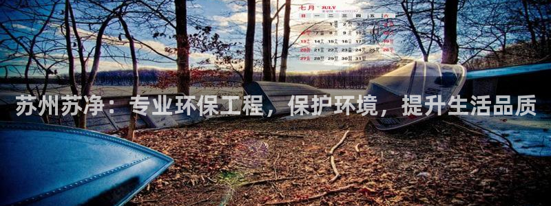 彩名堂好用还是千里马好用：苏州苏净：