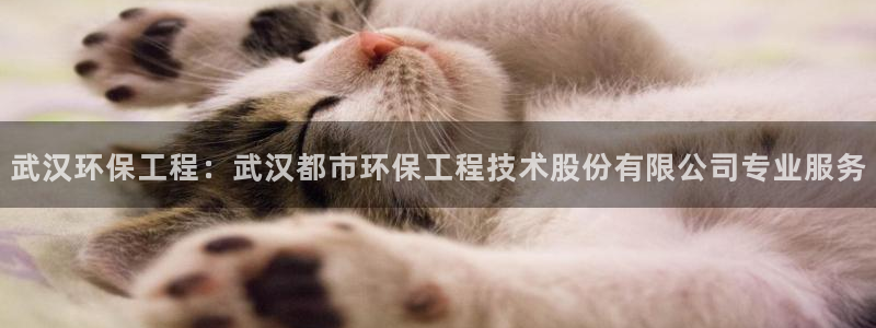 彩名堂怎么打不开了：武汉环保工程：武