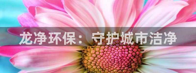 彩名堂app官网：龙净环保：守护城市