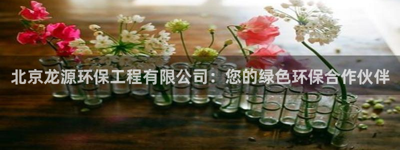 彩名堂计划技巧有哪些：北京龙源环保工