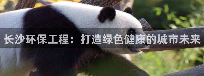 彩名堂计划怎么买胜率高：长沙环保工程