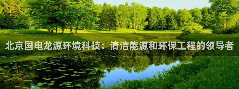 彩名堂在线下载：北京国电龙源环境科技
