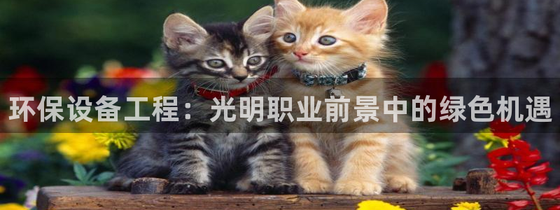 彩名堂怎么选稳定计划：环保设备工程：