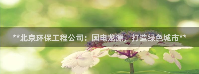 彩名堂怎么不能用了：**北京环保工程