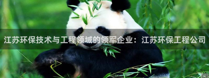 彩名堂计划怎么打不开了：江苏环保技术