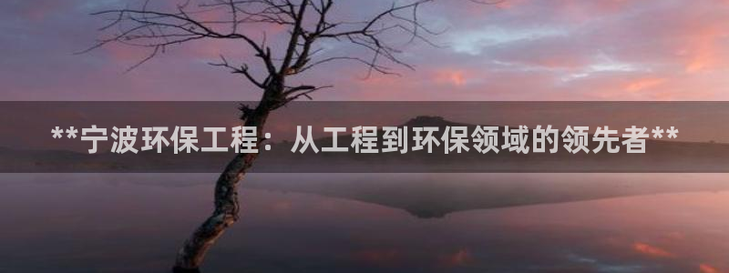 彩名堂手机客户端：**宁波环保工程：从工程到环保领域的领先者**