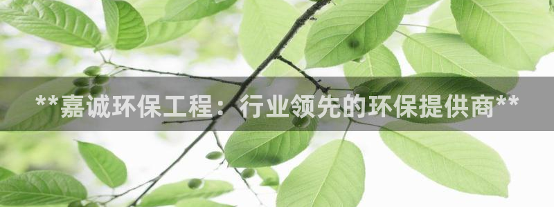 彩名堂双彩网：**嘉诚环保工程：行业领先的环保提供商**