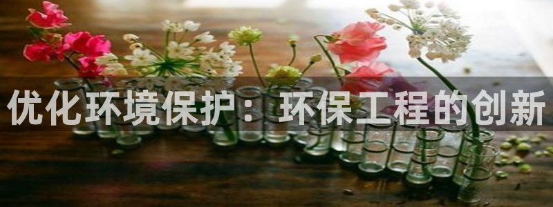彩名堂怎么跟计划才不连挂在一起：优化