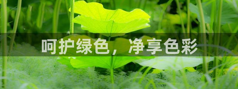 彩名堂下载官网：呵护绿色，净享色彩