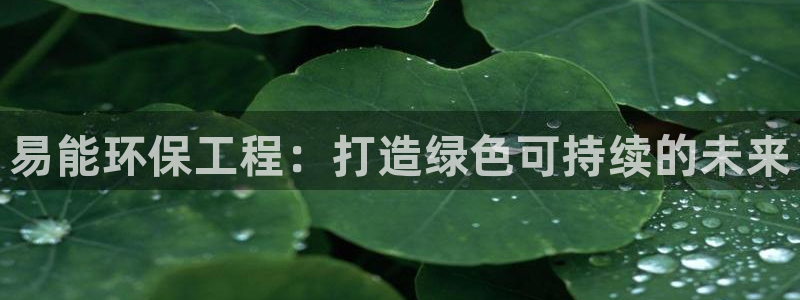 彩名堂.netnet：易能环保工程：
