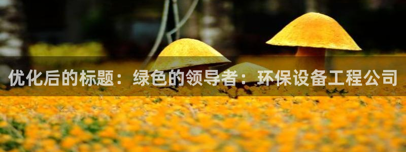下载彩名堂预测计划软件安卓：优化后的标题：绿色的领导者：环保设备工程公司