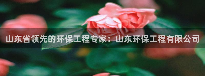 彩名堂预测计划：山东省领先的环保工程