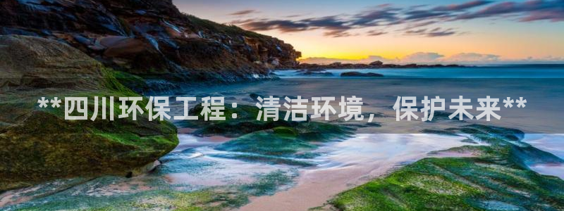 彩名堂怎么用不输：**四川环保工程：