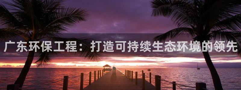 彩名堂50版本计划：广东环保工程：打
