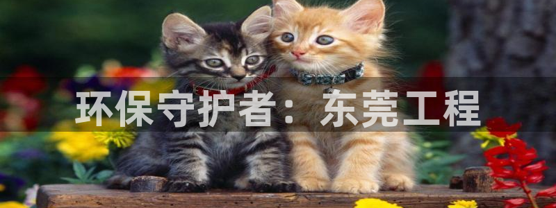 彩名堂人工计划客户端官网：环保守护者
