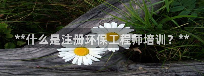 cmt彩名堂：**什么是注册环保工程