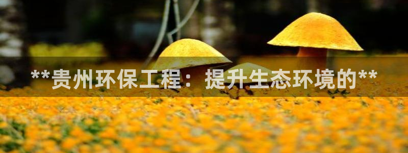 彩名堂苹果客户端怎么下载：**贵州环保工程：提升生态环境的**