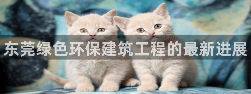 彩名堂计划怎么看：东莞绿色环保建筑工