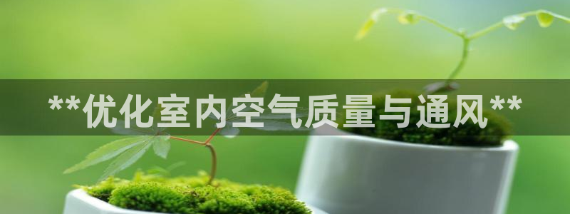 彩名堂在线下载：**优化室内空气质量与通风**