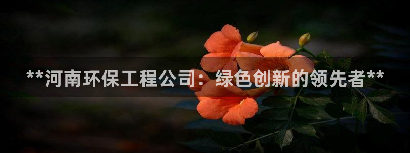 彩名堂计划怎么出的：**河南环保工程