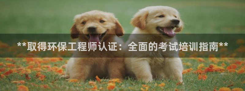 彩名堂还能用吗：**取得环保工程师认