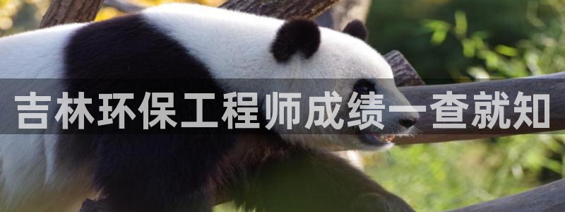 彩名堂预测软件与分析：吉林环保工程师