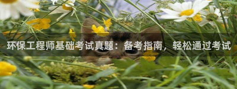 彩名堂免费计划使用方法：环保工程师基