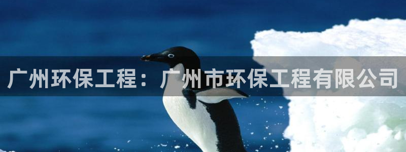 彩名堂一直不出结果怎么回事儿：广州环
