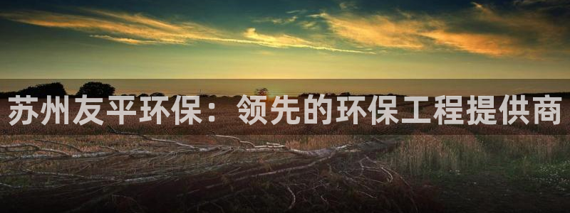 彩名堂拼音怎么拼：苏州友平环保：领先的环保工程提供商