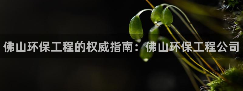 彩名堂app官网：佛山环保工程的权威指南：佛山环保工程公司