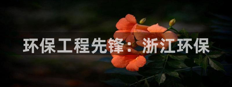 彩名堂好用还是千里马好用：环保工程先锋：浙江环保