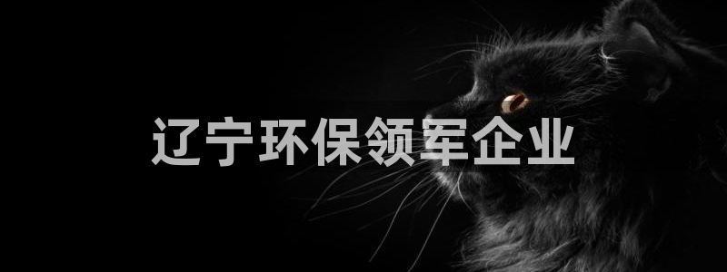 彩名堂最新计划下载地址：辽宁环保领军