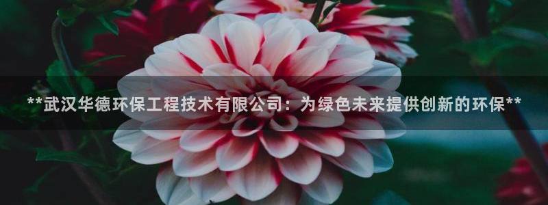 彩名堂手机客户端官网：**武汉华德环