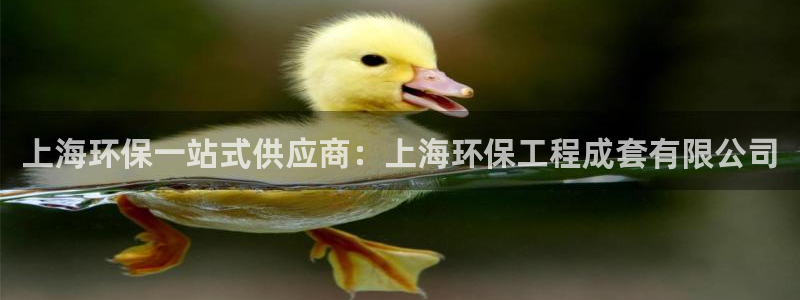 彩名堂改名稻草人了吗是真的吗：上海环