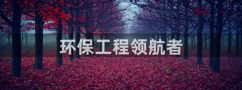 彩名堂计划怎么打不开了：环保工程领航