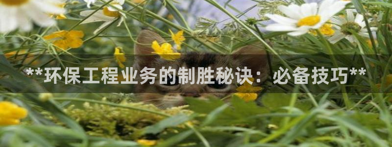 彩名堂5.0计划永久免费版为什么下不