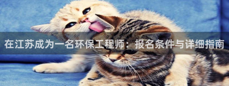 为什么彩名堂今天不能用：在江苏成为一名环保工程师：报名条件与详细指南
