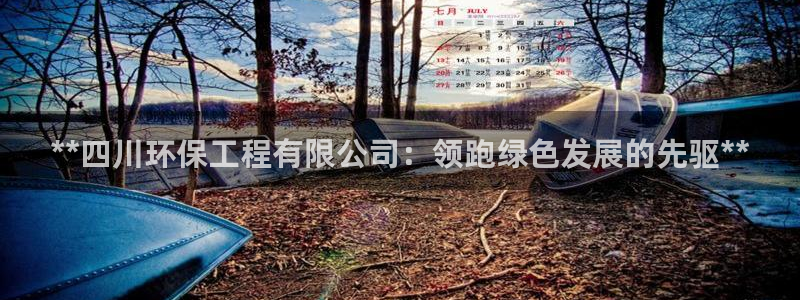 彩名堂：**四川环保工程有限公司：领