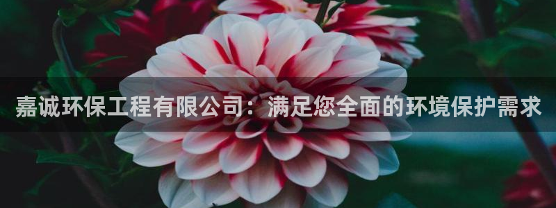 正规彩名堂官网计划01：嘉诚环保工程