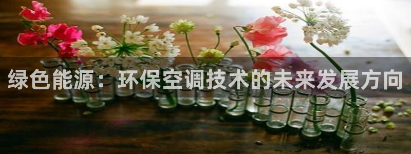 彩名堂平台：绿色能源：环保空调技术的