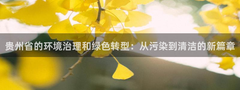 彩名堂免费计划官网5.0版下载链接：