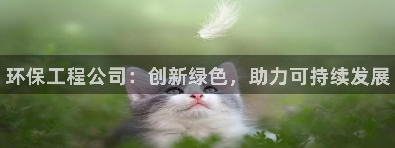彩名堂客户：环保工程公司：创新绿色，