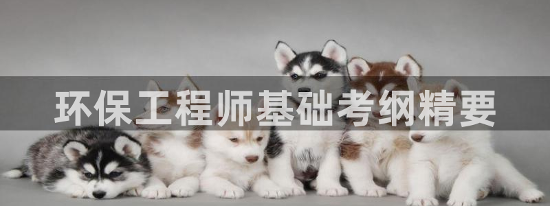 彩名堂最新计划下载地址